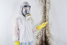 Best Black Mold Removal  in Commerce, GA